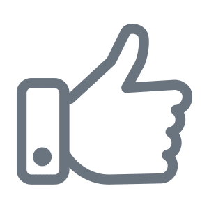 Digital Services Icon Social Media Agency
