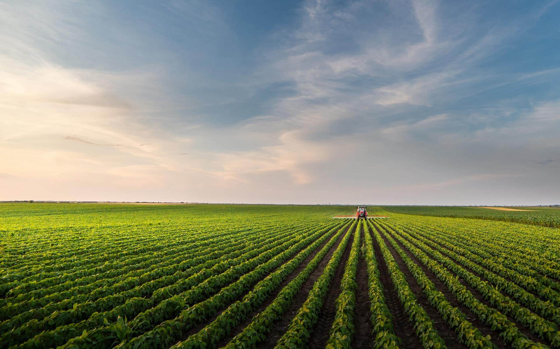 Bayer Crop Science Case Study